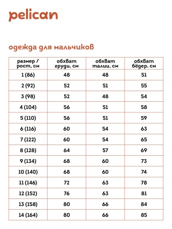 Куртка для мальчиков