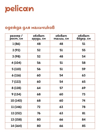 Джемпер (модель "футболка") для мальчиков